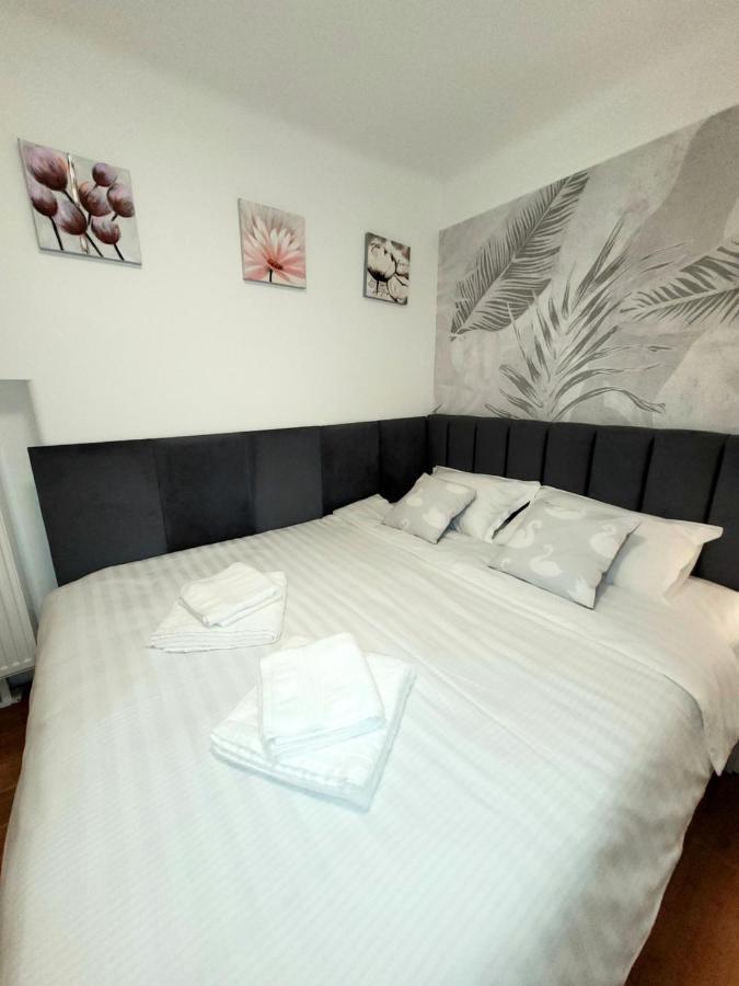 Pacha Residence Тимишоара Экстерьер фото