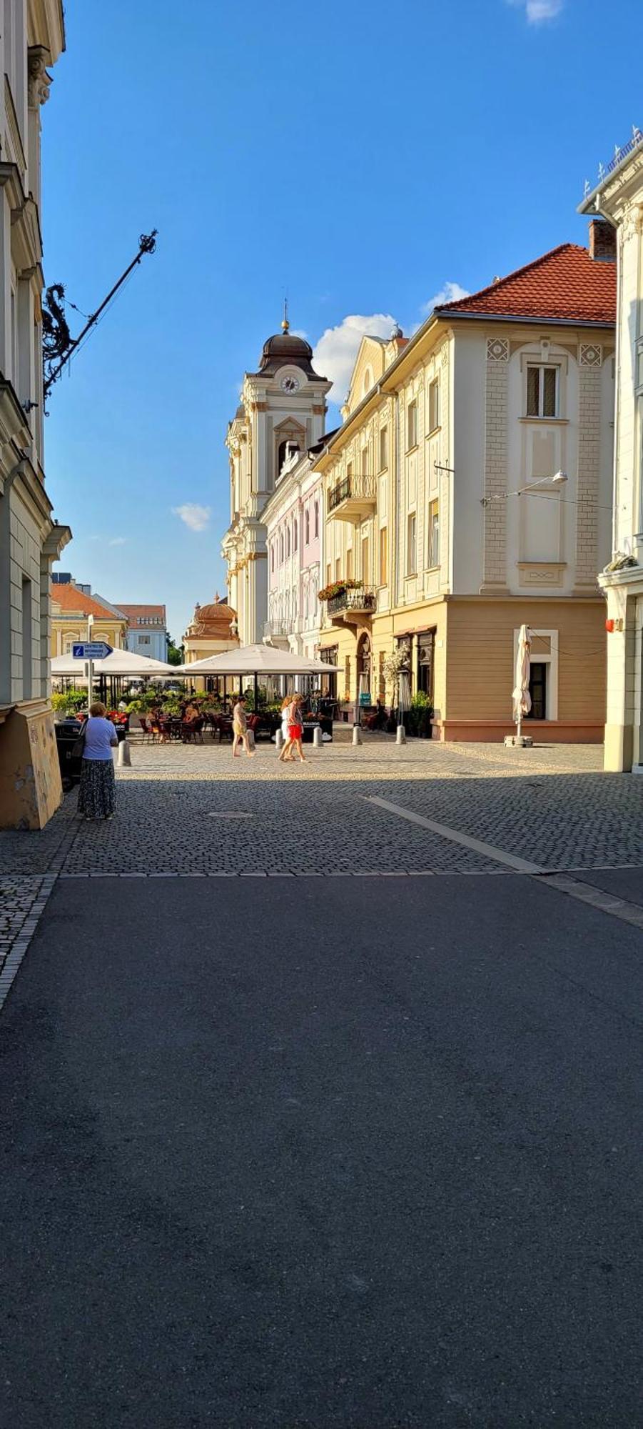 Pacha Residence Тимишоара Экстерьер фото